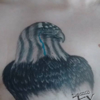 Blue line eagle