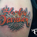 Harley Bird