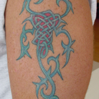 celtic_scorp