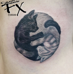 Cat yin yang