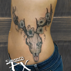 Deer skull 2