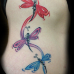 Dragonflies
