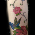 Hummingbird_101 copy