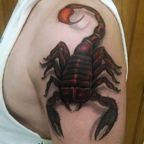 Scorpion 101
