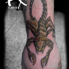 Stone Scorpion