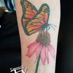 Butterfly on flower