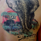 Elephants001