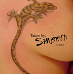 Gecko