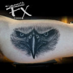 Hawk face