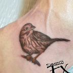 Sparrow on foot