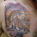 Tiger_001