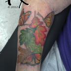 seasons_of_leaves