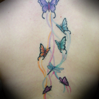 zbutterflies