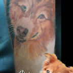 dog portrait