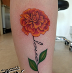 Love Carnation