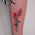 Rose_buds