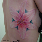 Stargazer