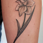 daffodil black and gray