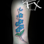 forget_me_not_2