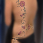 z Daisies 13