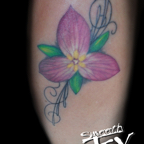  Trillium_flower